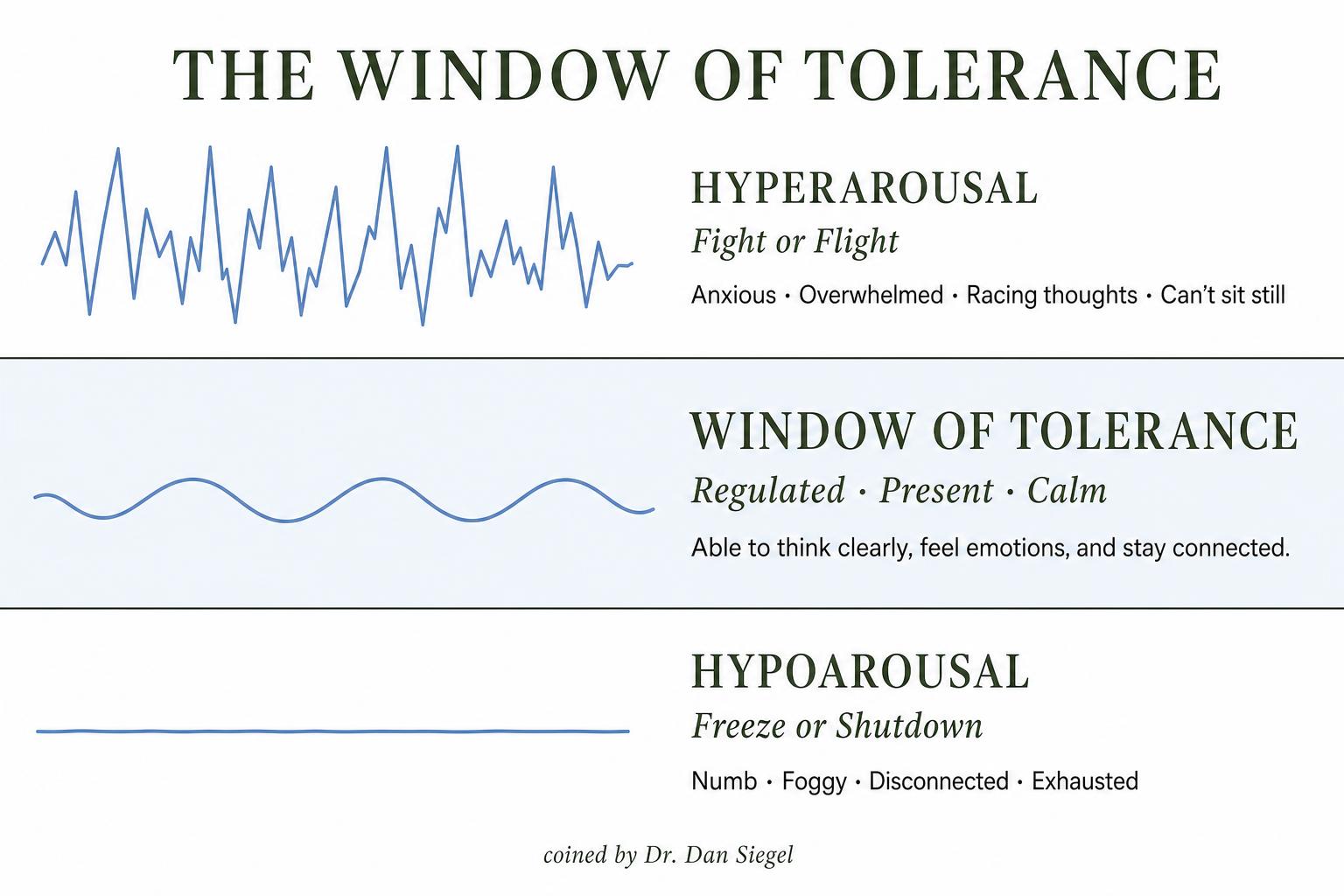 Window of Tolerance diagram showing hyperarousal (fight or flight) at the top, the regulated window of tolerance in the middle, and hypoarousal (freeze or shutdown) at the bottom.